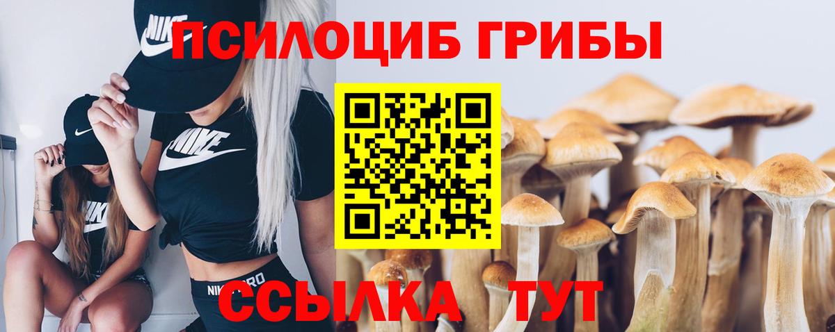 Псилоцибиновые грибы GOLDEN TEACHER Назрань