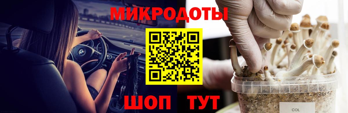 Галлюциногенные грибы MAGIC MUSHROOMS  Вход с VPN  Галлюциногенные грибы Psilocybine cubensis  Назрань 